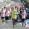 2017年12月3日　湘南国際マラソン(374)