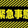 有為自然　688　　一寸の挨拶で　ネコの情けを期待　？