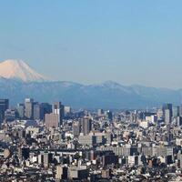 maro13の海外機関etc