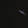 ＮＧＣ４６３１＋ＮＧＣ４６５６：りょうけん座の渦巻銀河