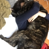 甲斐犬サンの怠惰的激甘、の巻〜(*ﾟДﾟ)ｽｯｽｷﾃﾞｽ!!