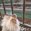 雪