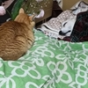 明日には