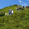 山歩き・銀座並み(^O^)