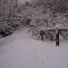 風雪の東鳳翩山 