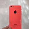 iPhone5C