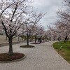 【育児記録】早くも洗礼？！慣らし保育２週目にして疲れが出て息子が高熱！