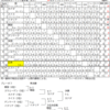 2024世界選手権（女子）９