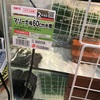 クサガメ🐢ポコの飼育日記🐢35