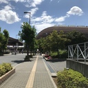 不確かな道を探す