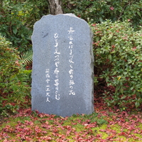 【直筆色紙】平林寺 牧牛窟 白水敬山 朱竹「日々是好日」 直筆色紙】平林寺 牧牛窟 白水敬山 朱竹「日々是好日」