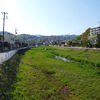 仁川百合野町の芝桜（1）