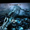  SKYRIM