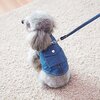 とてもファッションなデニムハーネスです