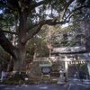 第1539回　言の葉によって、真の知を取り結ぶ祈り