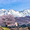 桜を見に白馬へ（1日目＆2日目）