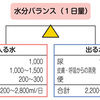 ★冬でも脱水に注意！