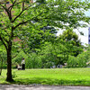 【NIKKOR Z 85mm f/1.8 S・仙台】清々しい6月の仙台の街（その２）Jun 2021