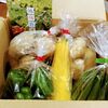 訳有ってファイナル：30,000円で毎月旬の野菜が届く(22,23ヶ月目)：ふるさと納税