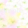 【ストックイラスト】百合の花の背景３