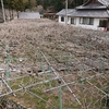 20220307豊後国一宮　西寒多（にしささむた）神社