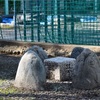 江東区と江戸川区の三角点