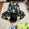 第2回芋煮杯オフに配信担当+対戦参加してきました【オフレポ】