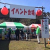 【柏崎市】雪割草が見ごろですね！『大崎雪割草祭り』に行ってきました^^
