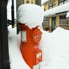 雪帽子のある光景