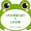 ５月目標振り返りと６月目標