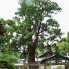 四国八十八ヶ所 第二番 極楽寺 ( 2012-05-025 )