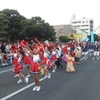 第50回大牟田大蛇山祭り