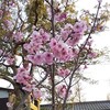 もう家計簿はやめた、ダウンロードして見返すだけでOKだった