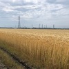大岩山にソーメンを食べに行ったが