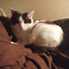 2025-03-23(Sun)
