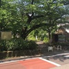 東山貝塚遺跡  目黒区東山