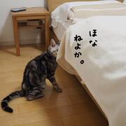 まめじろうな日々 カテゴリーの記事一覧 51ページ目 - でぶアメショと