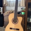 My Guitar Vol.20