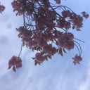 本当に本が読みたくなる読書のブログ