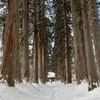 自然の魅力と笑いのパワー 味わい尽くす戸隠神社