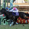 12.29(木)　そう言えば、競馬　ホープフルステークスとか