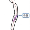 60代男性、腰から脚の痛み