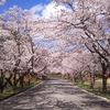 能登町柳田植物公園