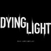 Dying Light日記　第1回 街を駆け回り、ゾンビと戯れる