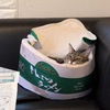 嘔吐、食欲低下＜５＞