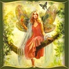自然と繋がる　Connect with Nature