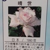 トゲと薔薇の日々7