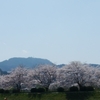 春らしい陽気の土曜日