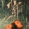№2,583　華流セレクション（Movie）　“ 少年の君 - 原題：少年的你　英語題：Better Days ”