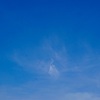 鳳凰が空を舞うとき